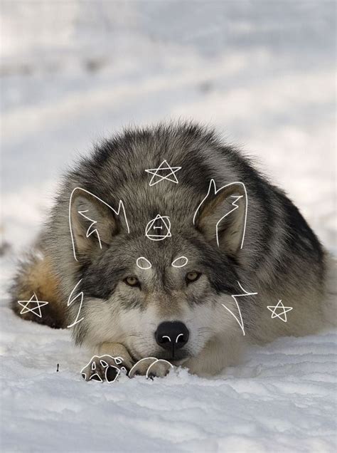 wolf therian|wolf therian game.